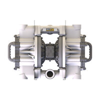 Druckluftmembranpumpe | 2 Zoll | VMB20FPPR0SS000URA