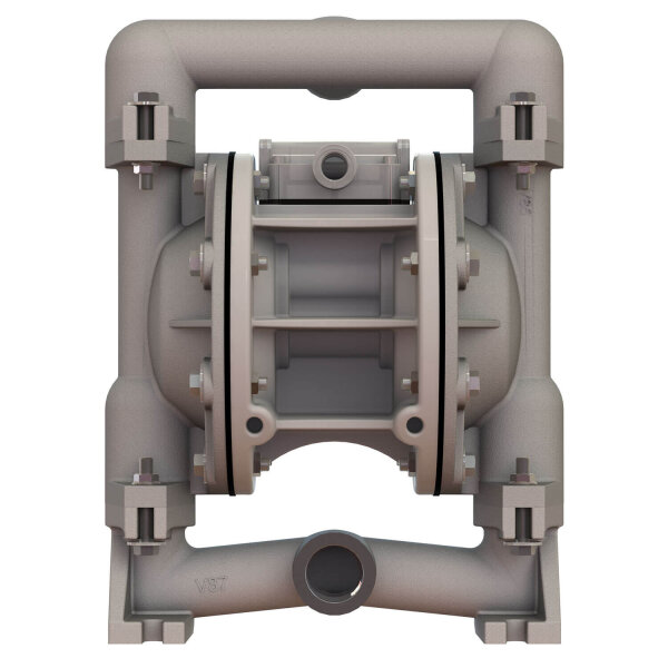 Air-operated diaphragm pump | 1 Inch | E1SP5F559C