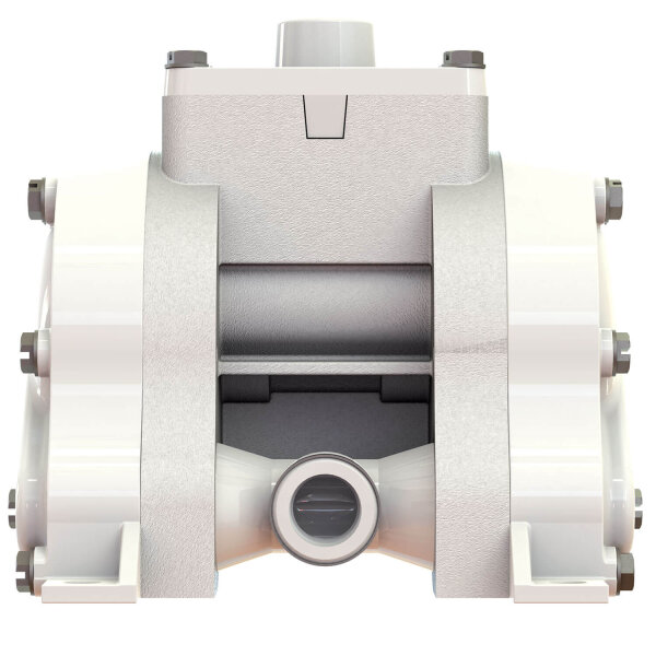 Druckluftmembranpumpe | 3/8 Zoll | E8PP5BPP9