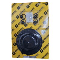Repair kit (fluid) V1.0 BN KIT-1 for air-operated...