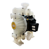 Air-operated double diaphragm pump | 1 Inch |...